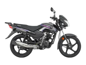 TVS Sport 100 ELS